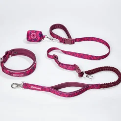 Martingale Collar and Multipurpose Leash Sets