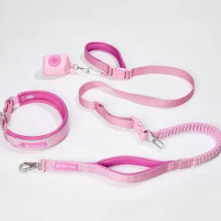 Martingale Collar and Multipurpose Leash Sets