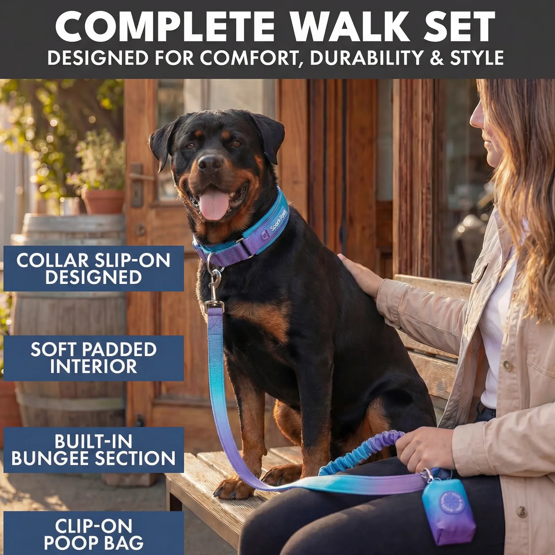 Martingale Collar and Multipurpose Leash Set - 90s Retro