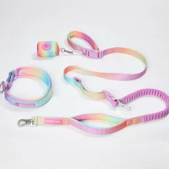Martingale Collar and Multipurpose Leash Set - Pastel Icing
