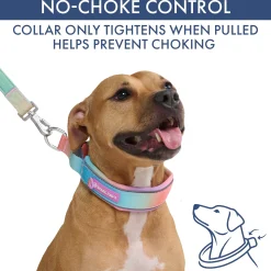 Martingale Collar and Multipurpose Leash Set - Pastel Icing