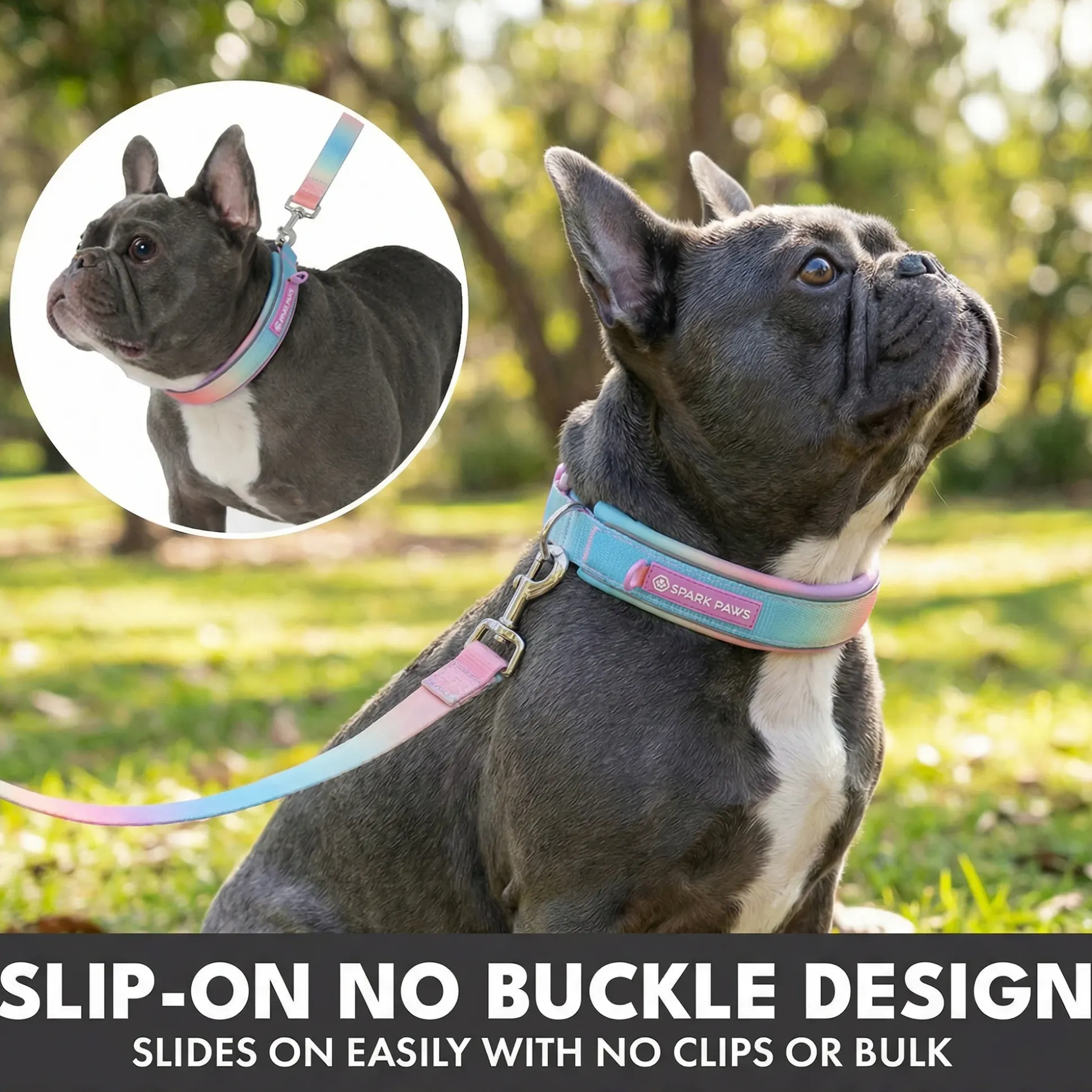 Martingale Collar and Multipurpose Leash Set - Pastel Icing