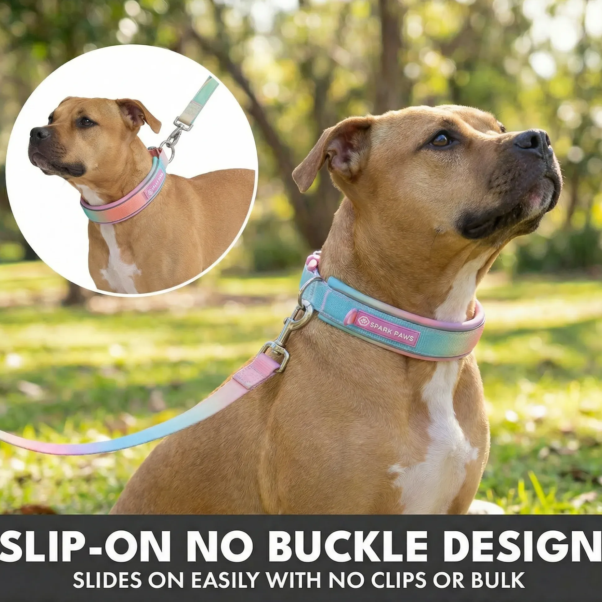Martingale Collar and Multipurpose Leash Set - Pastel Icing