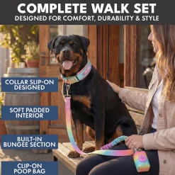 Martingale Collar and Multipurpose Leash Set - Pastel Icing