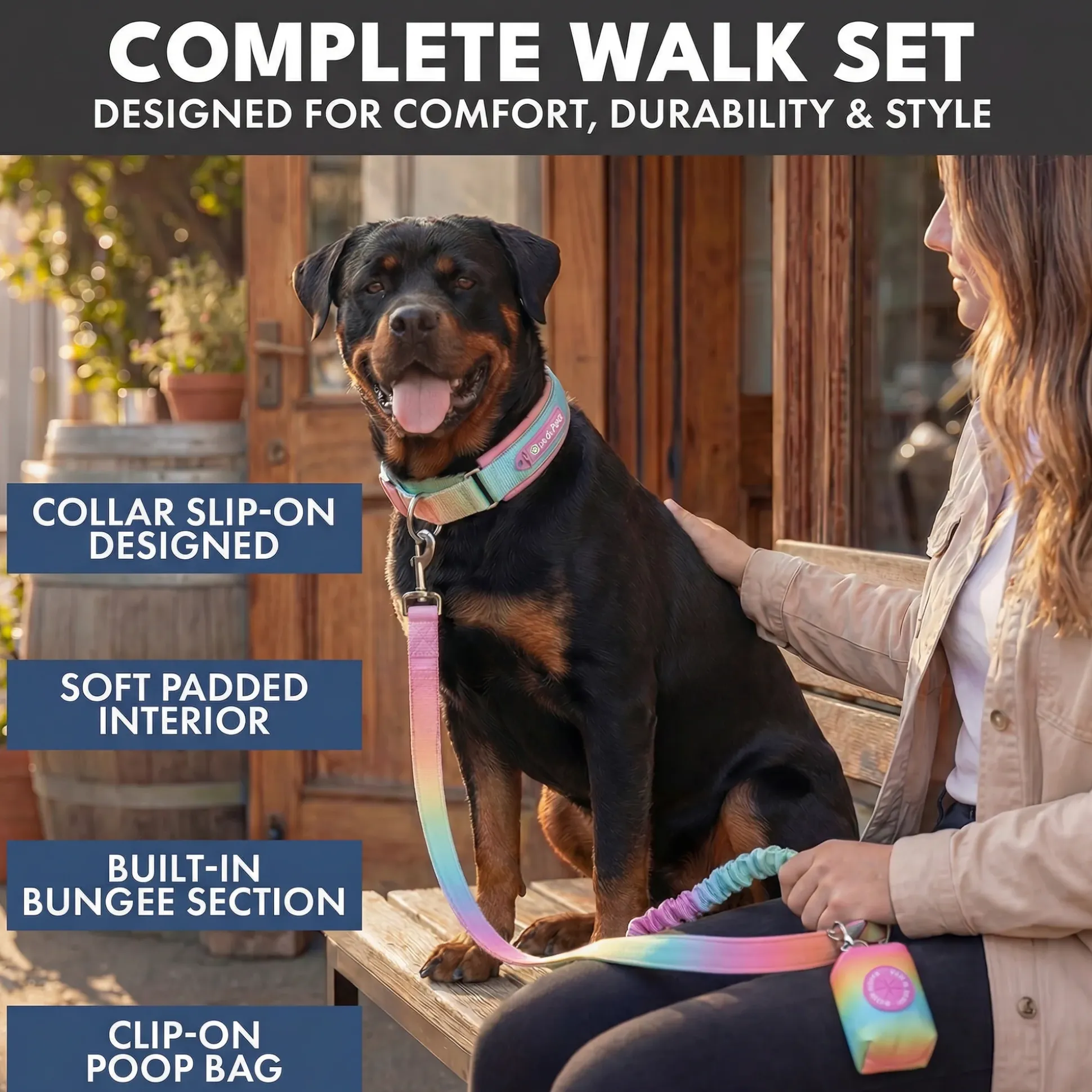 Martingale Collar and Multipurpose Leash Set - Pastel Icing