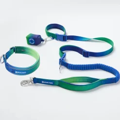 Martingale Collar and Multipurpose Leash Set - Lime Wave
