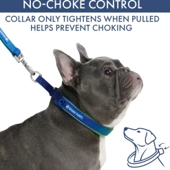 Martingale Collar and Multipurpose Leash Set - Lime Wave