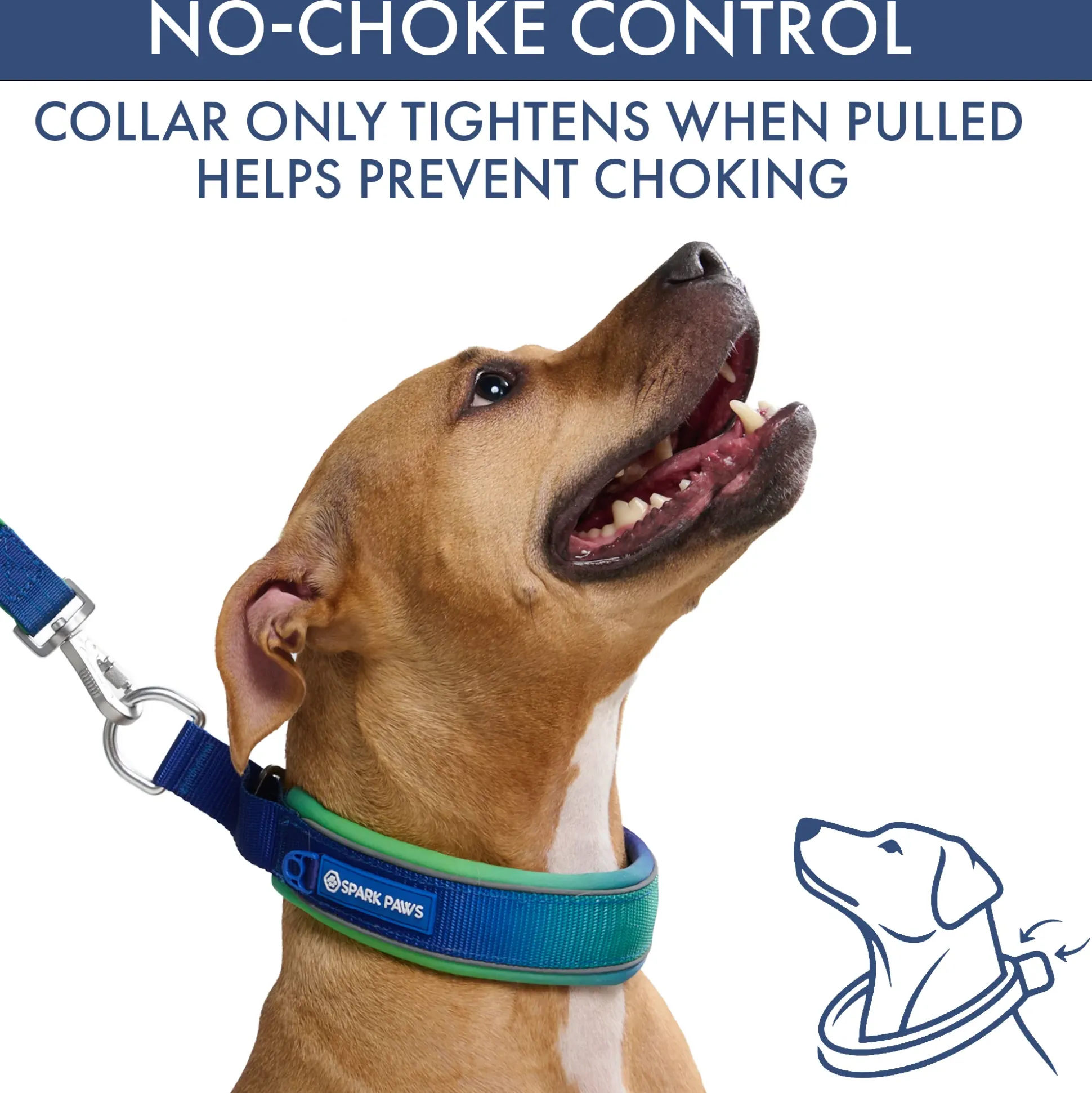 Martingale Collar and Multipurpose Leash Set - Lime Wave