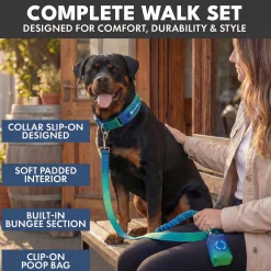 Martingale Collar and Multipurpose Leash Set - Lime Wave