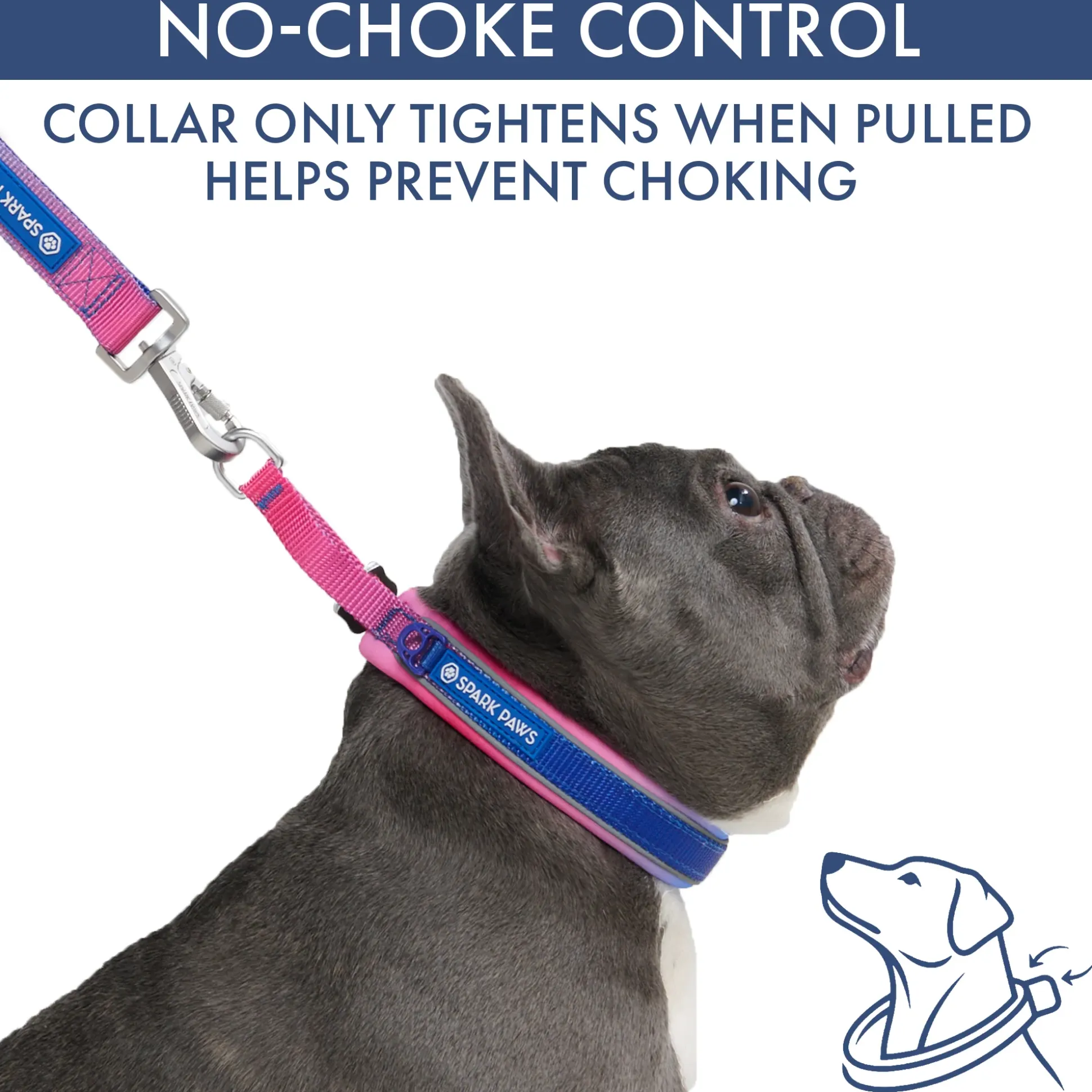 Martingale Collar and Multipurpose Leash Set - Snow Cone