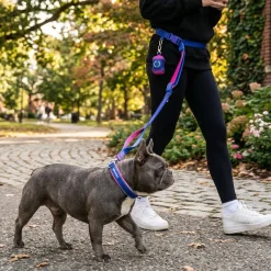 Martingale Collar and Multipurpose Leash Set - Snow Cone