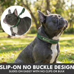 Martingale Collar and Multipurpose Leash Set - Army Green
