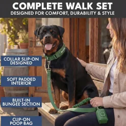 Martingale Collar and Multipurpose Leash Set - Army Green