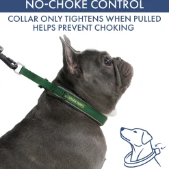 Martingale Collar and Multipurpose Leash Set - Army Green
