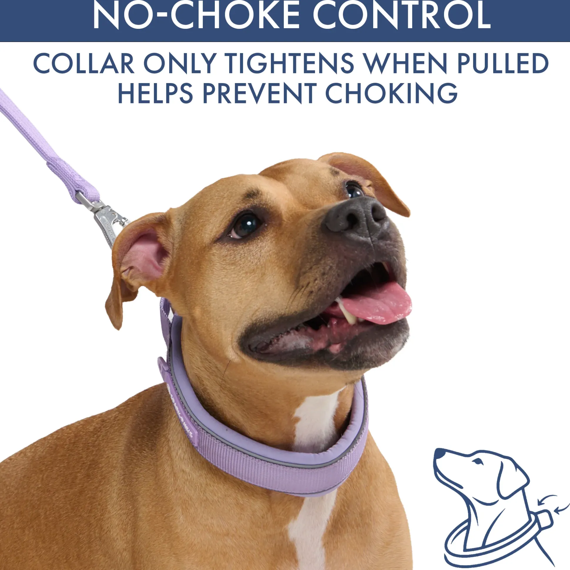 Martingale Collar and Multipurpose Leash Set - Lilac