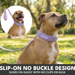 Martingale Collar and Multipurpose Leash Set - Lilac