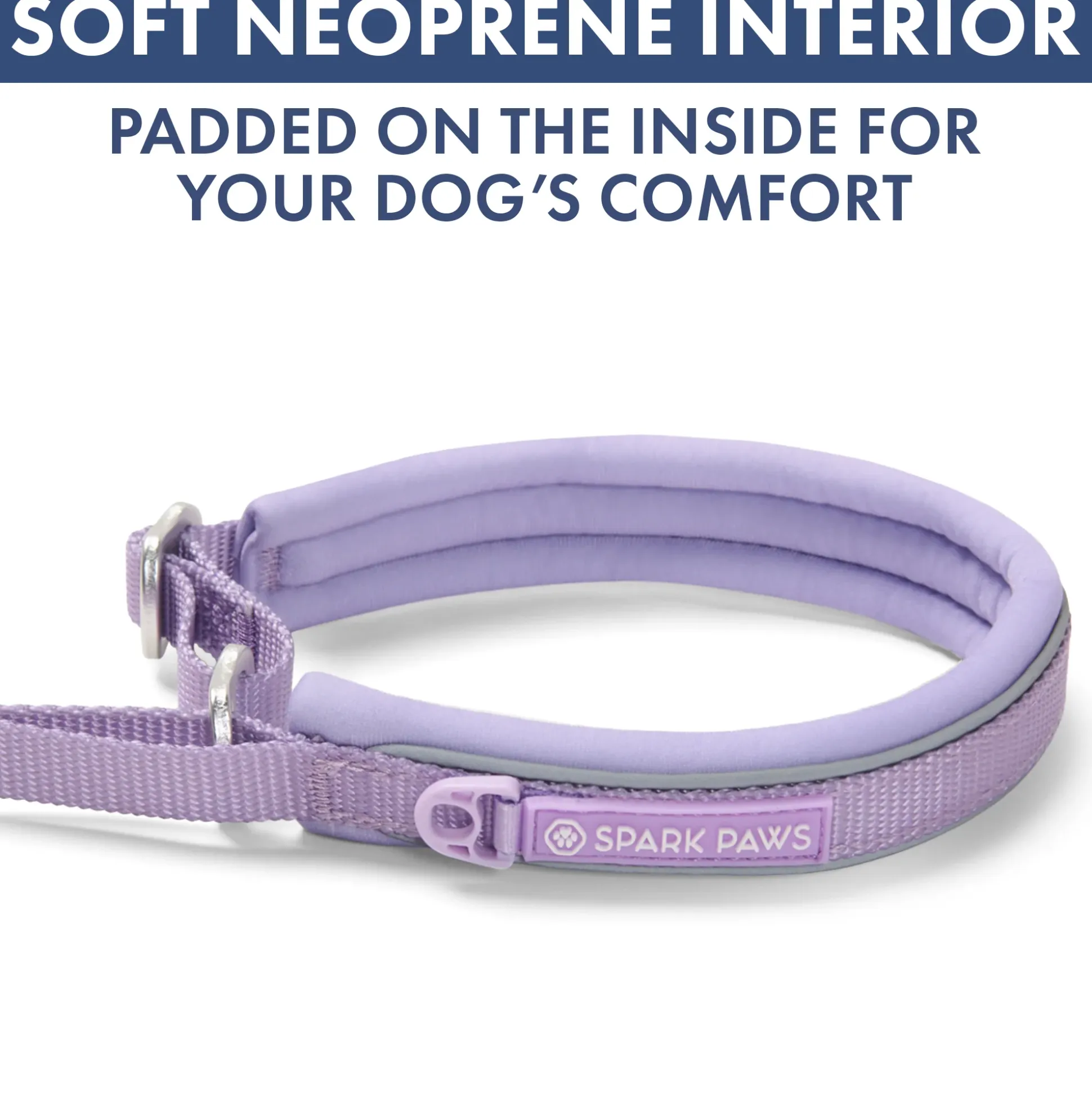 Martingale Collar and Multipurpose Leash Set - Lilac