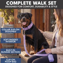 Martingale Collar and Multipurpose Leash Set - Lilac