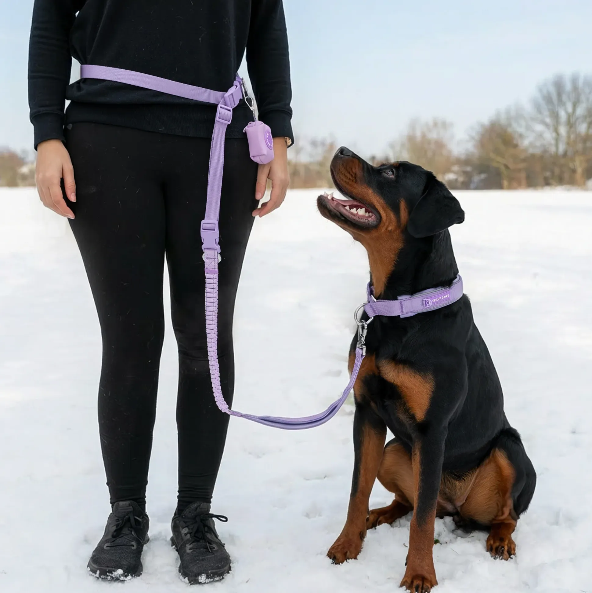 Martingale Collar and Multipurpose Leash Set - Lilac