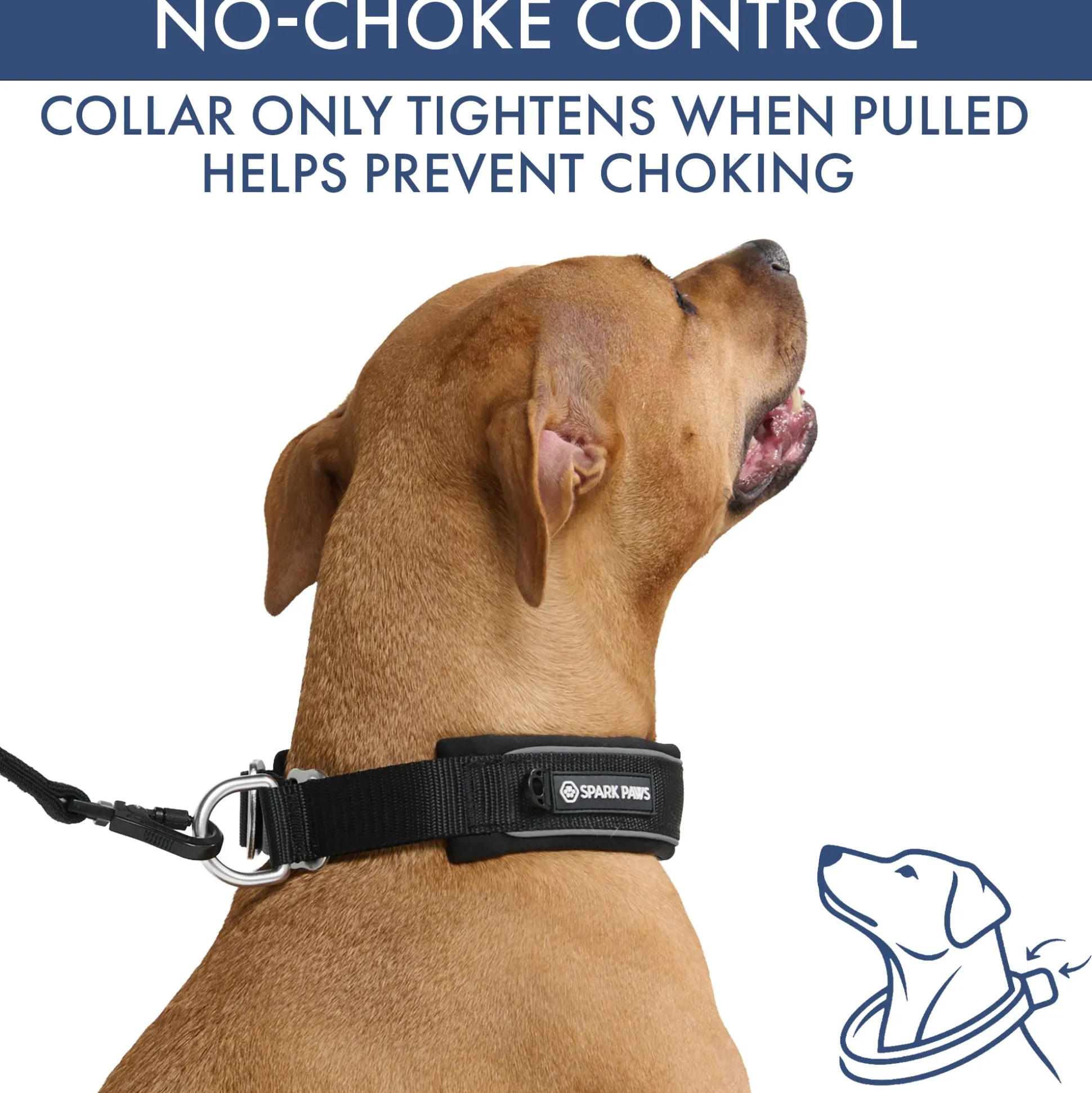 Martingale Collar and Multipurpose Leash Set - Black
