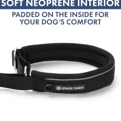 Martingale Collar and Multipurpose Leash Set - Black
