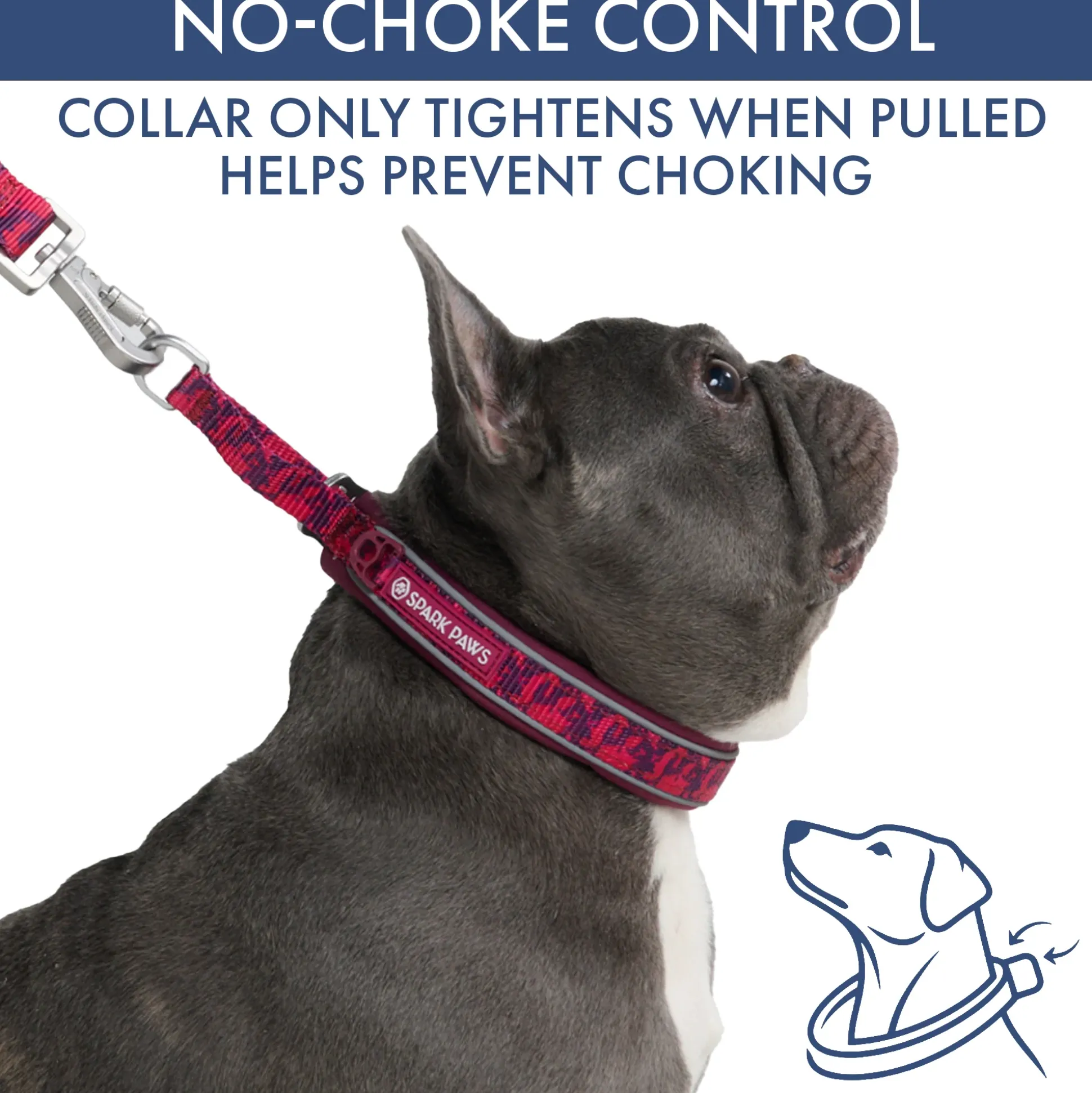 Martingale Collar and Multipurpose Leash Set - Fuchsia Camo