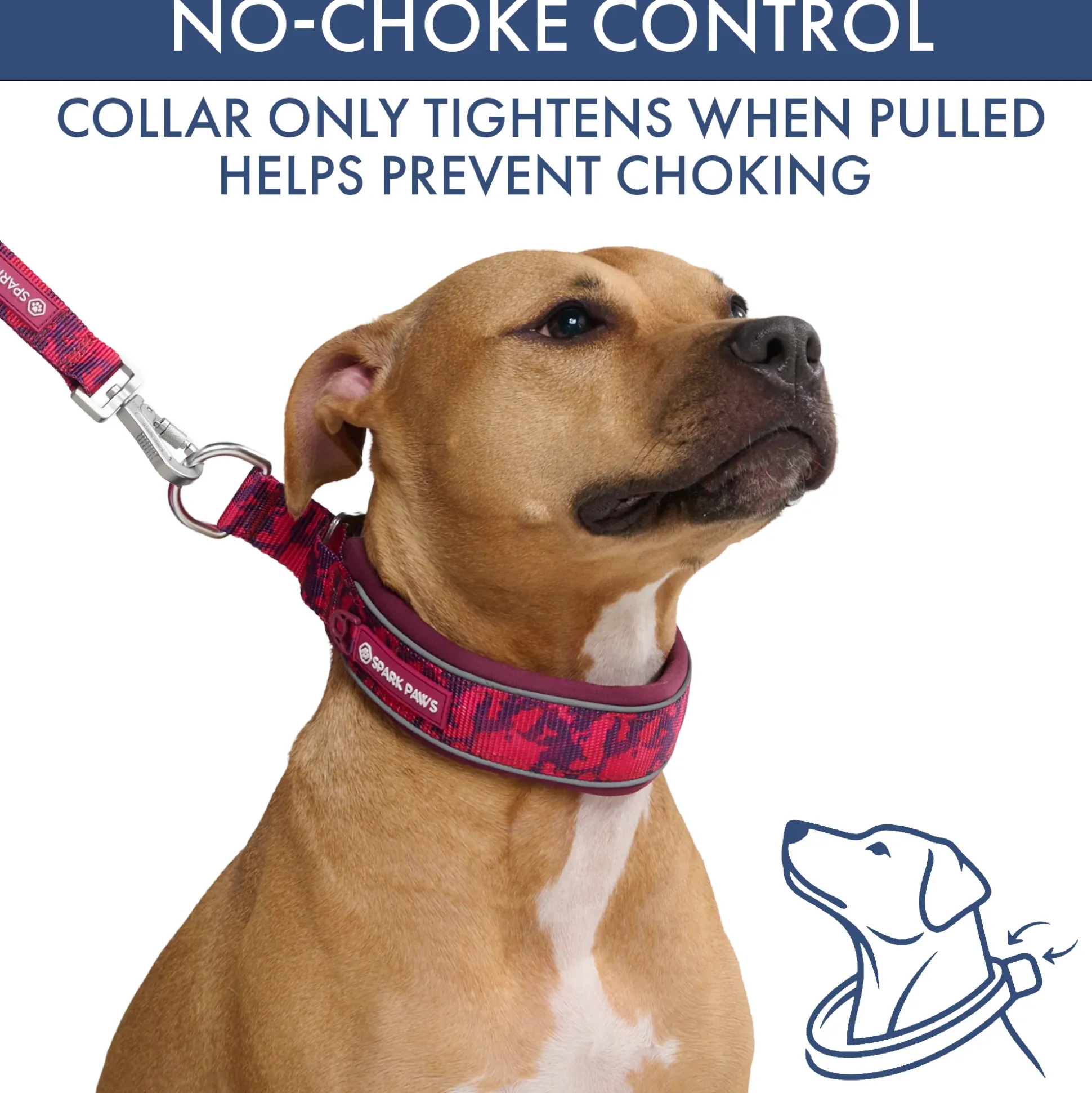 Martingale Collar and Multipurpose Leash Set - Fuchsia Camo