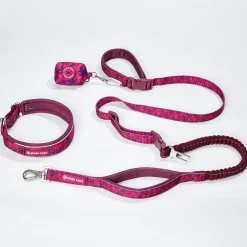 Martingale Collar and Multipurpose Leash Set - Fuchsia Camo