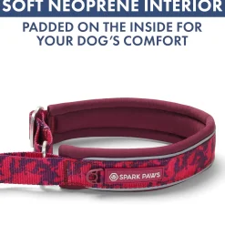 Martingale Collar and Multipurpose Leash Set - Fuchsia Camo