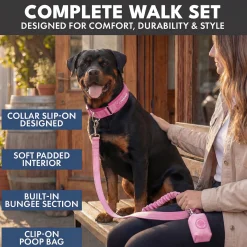 Martingale Collar and Multipurpose Leash Set - Pink
