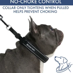 Martingale Collar Set - Black