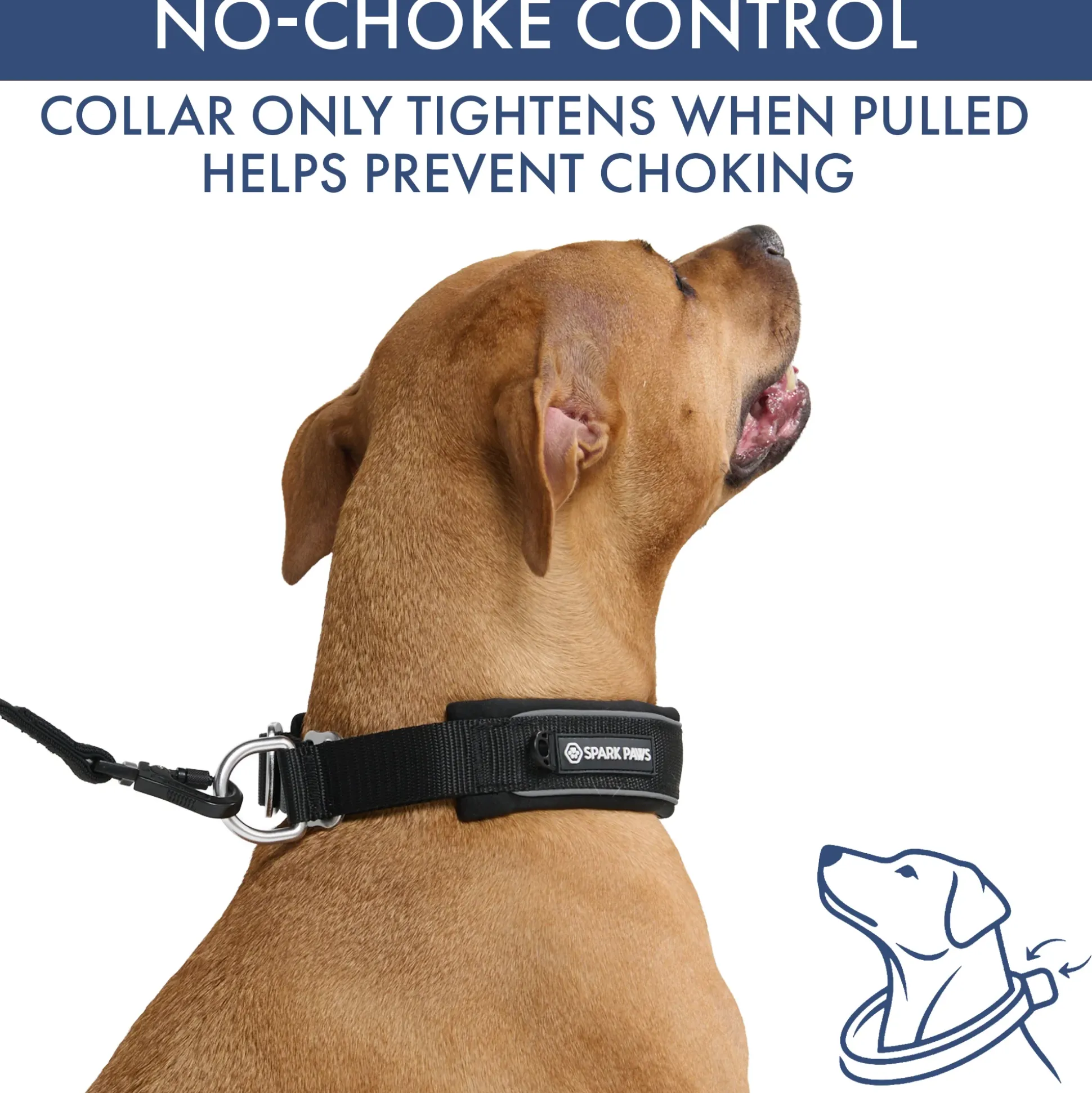 Martingale Collar Set - Black