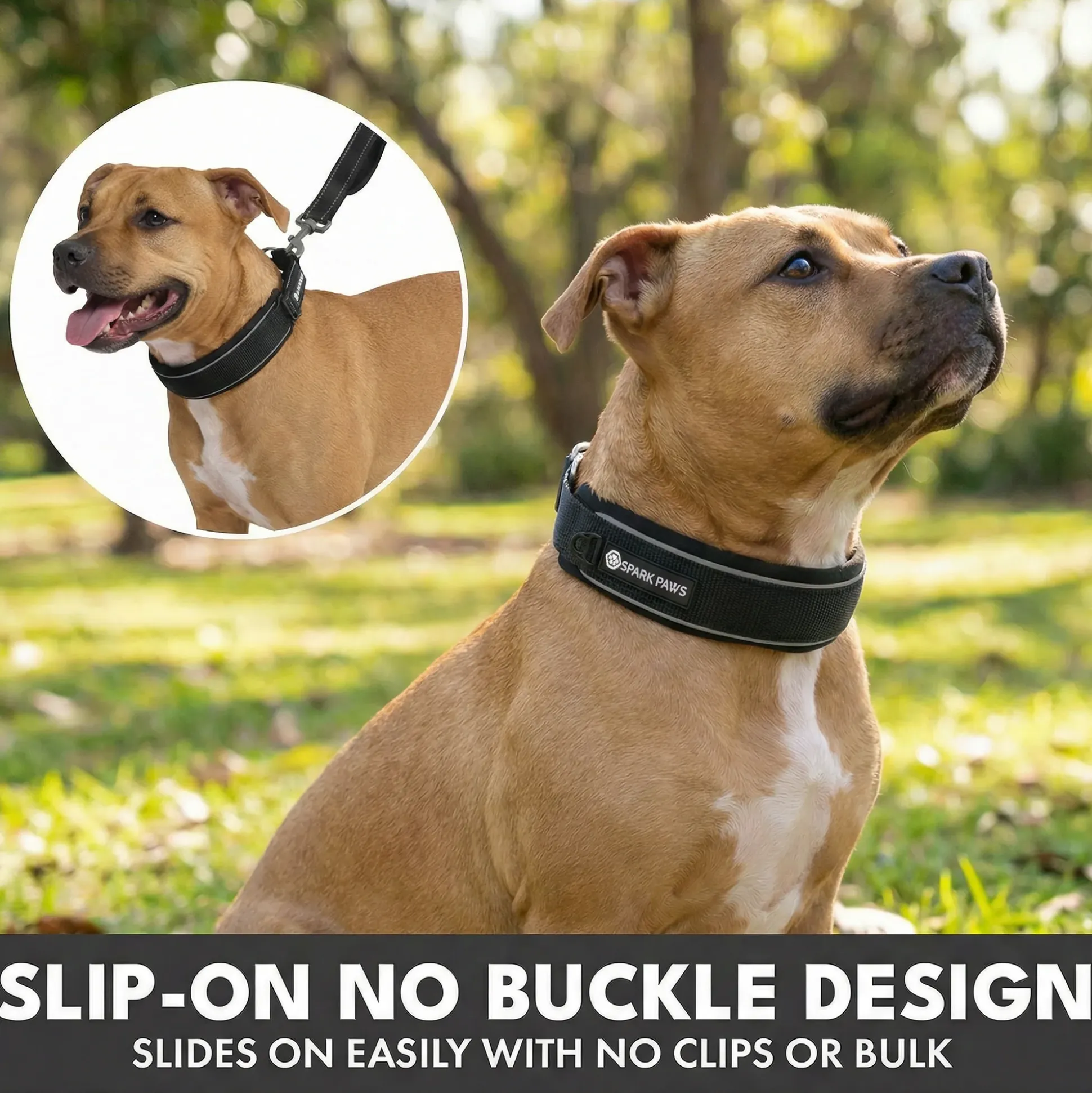 Martingale Collar Set - Black