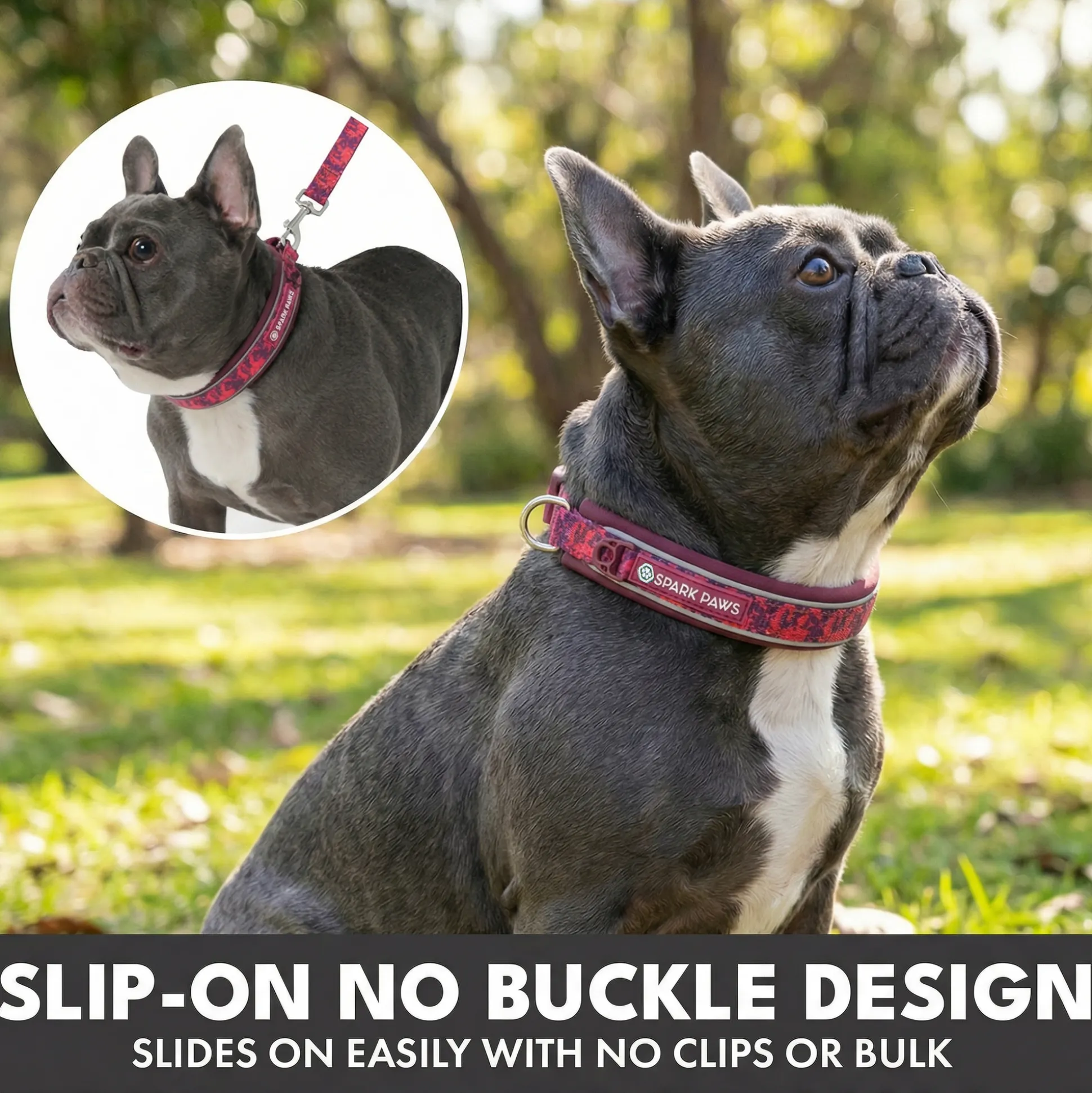 Martingale Collar Set - Fuchsia Camo