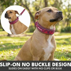 Martingale Collar Set - Fuchsia Camo