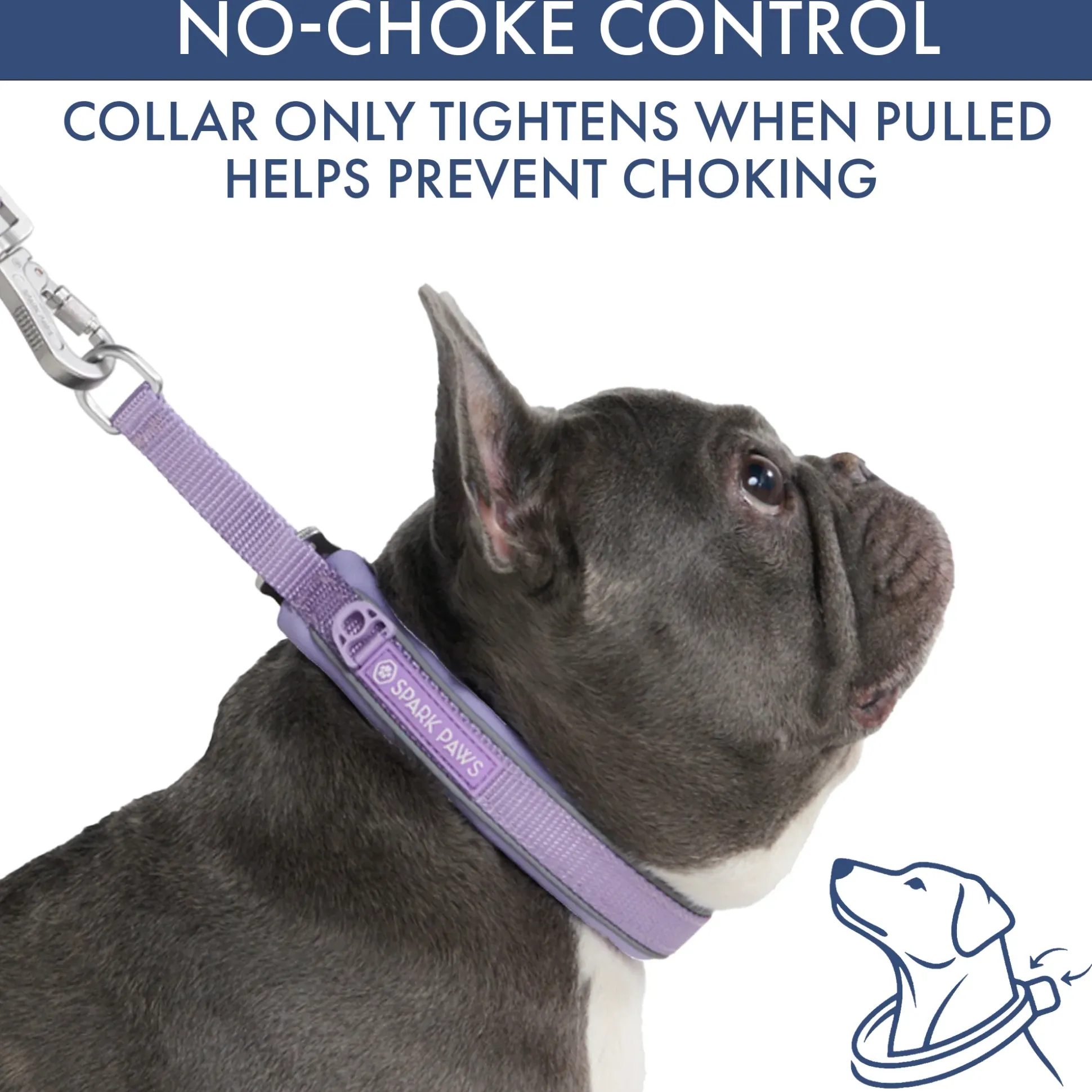 Martingale Collar Set - Lilac
