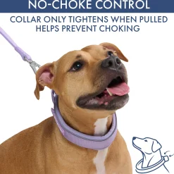 Martingale Collar Set - Lilac