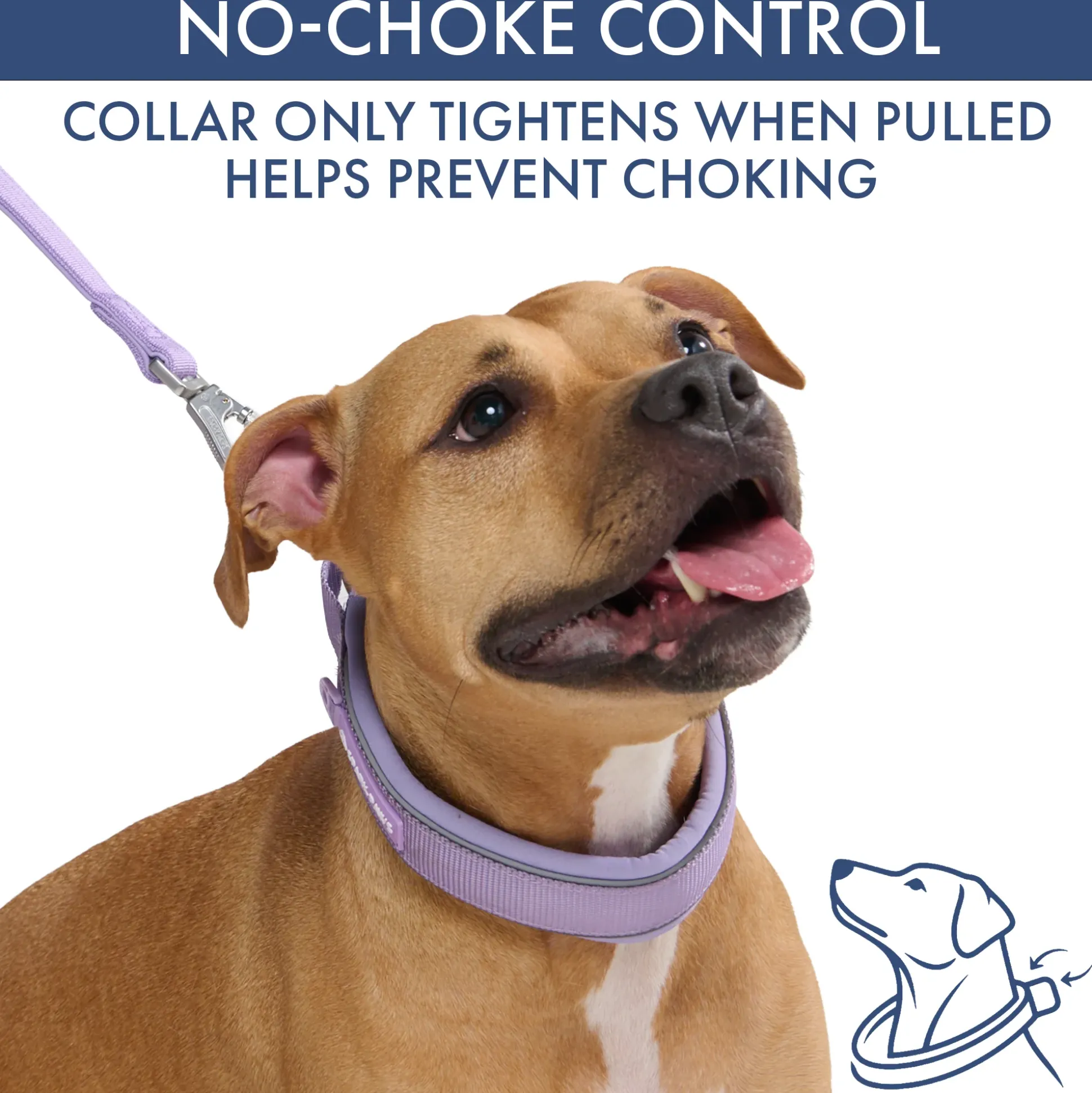 Martingale Collar Set - Lilac