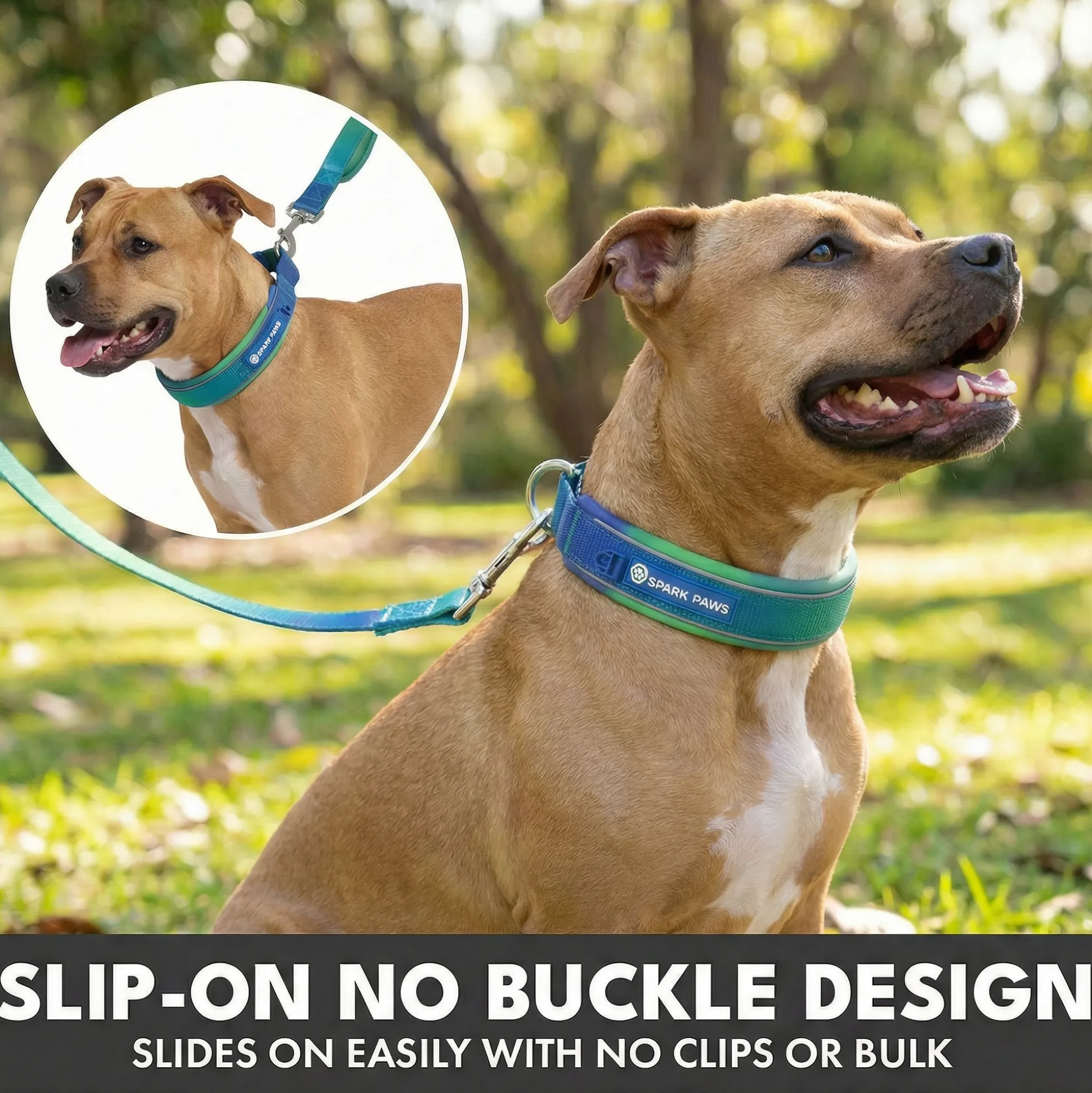 Martingale Collar Set - Lime Wave