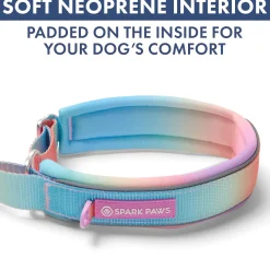 Martingale Collar Set - Pastel Icing