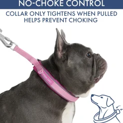 Martingale Collar Set - Pink