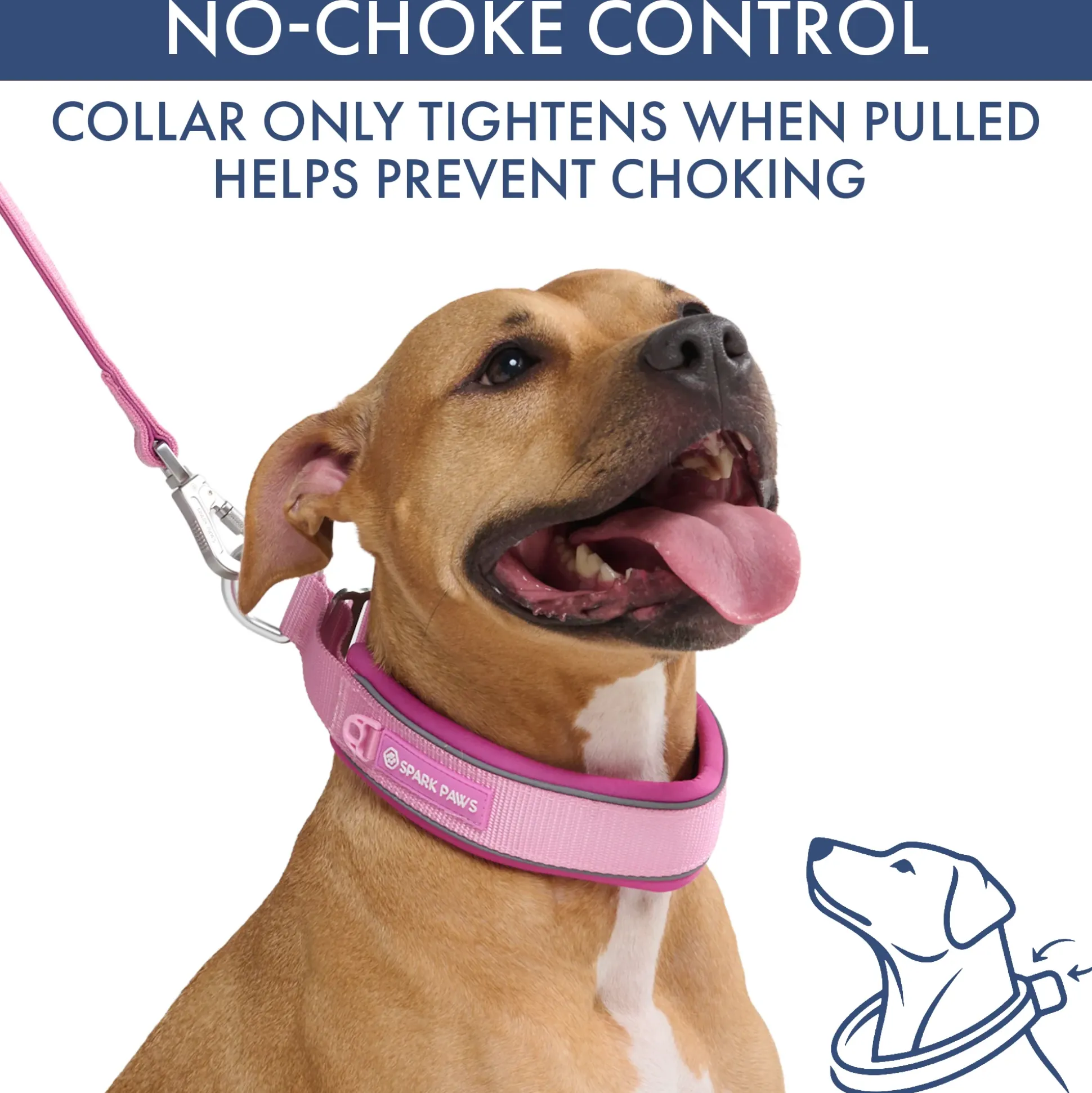 Martingale Collar Set - Pink