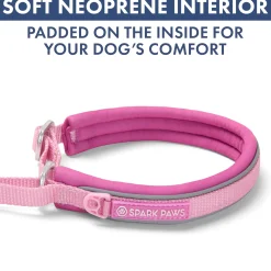Martingale Collar Set - Pink