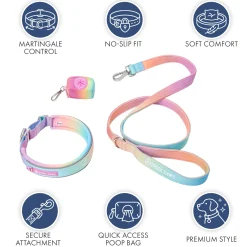 Martingale Collar Sets