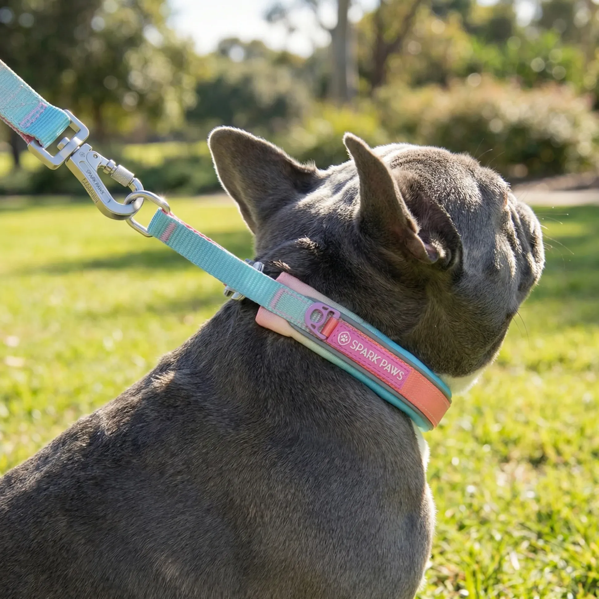 Martingale Collar Sets