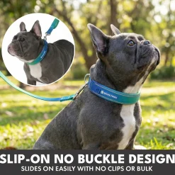 Martingale Collar Sets