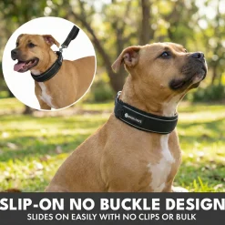 Martingale Collar Sets
