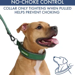 Martingale Collar Sets