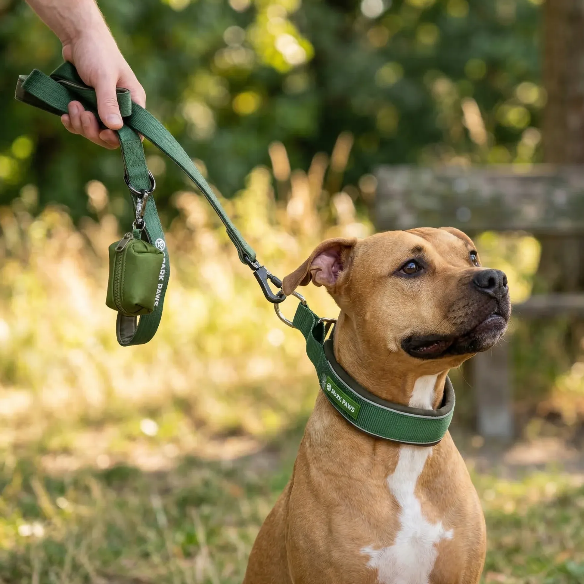 Martingale Collar Sets