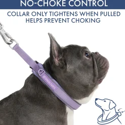 Martingale Collar Sets